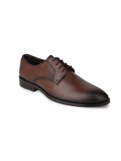 Men, Men Footwear, Coffee Derby Formal Shoes